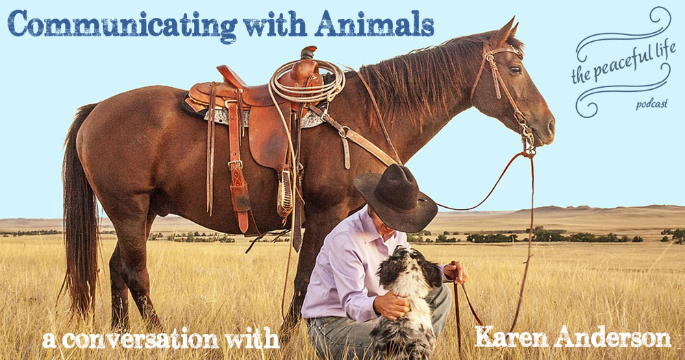 Episode 36: Communicating with Animals – with Karen Anderson | The Peaceful  Life Podcast
